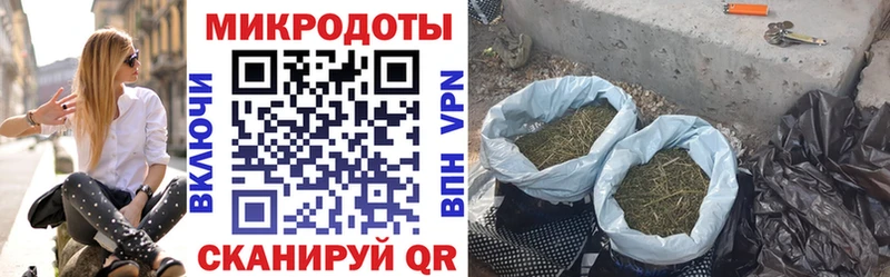 дарк нет какой сайт  Полтавская  Галлюциногенные грибы Psilocybine cubensis 